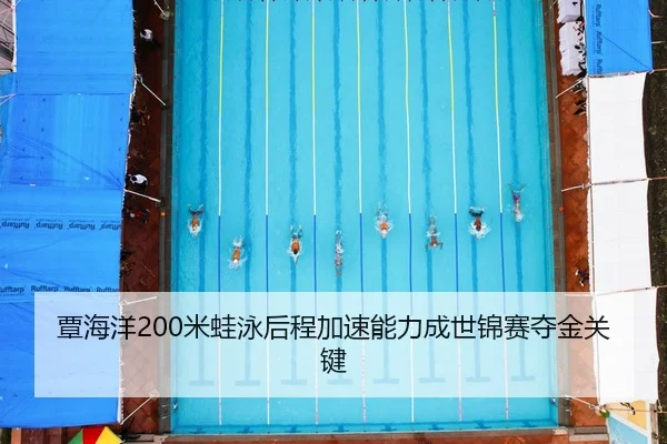 tan-hai-yang-mi-wa-yong-hou-cheng-jia-su-neng-li-cheng-shi-jin-sai-duo-jin-guan-jian-2-427.jpg